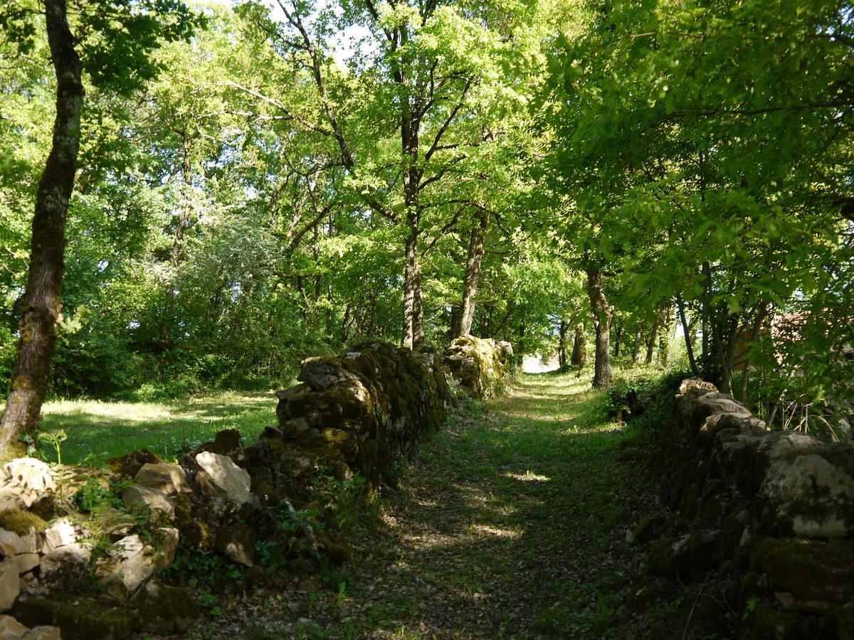 Coutillard Parisot  Luaran gambar